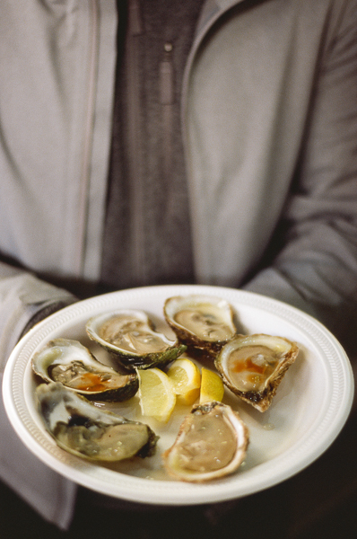 shucked oysters