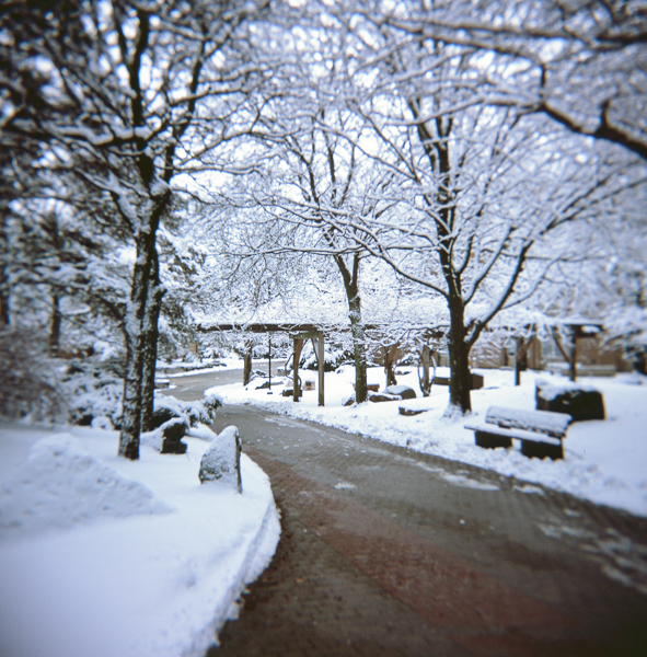 A snowy landscape of the UW campus