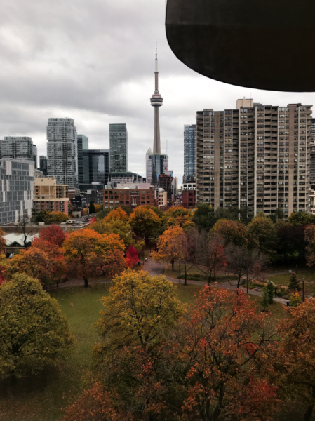 the toronto skyline