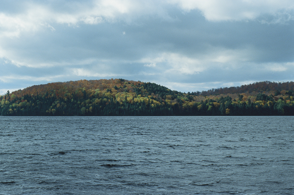 fall foliage on a lake shore