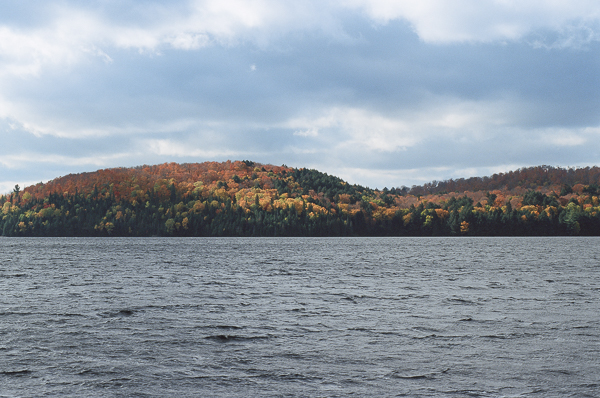 fall foliage on a lakeshore