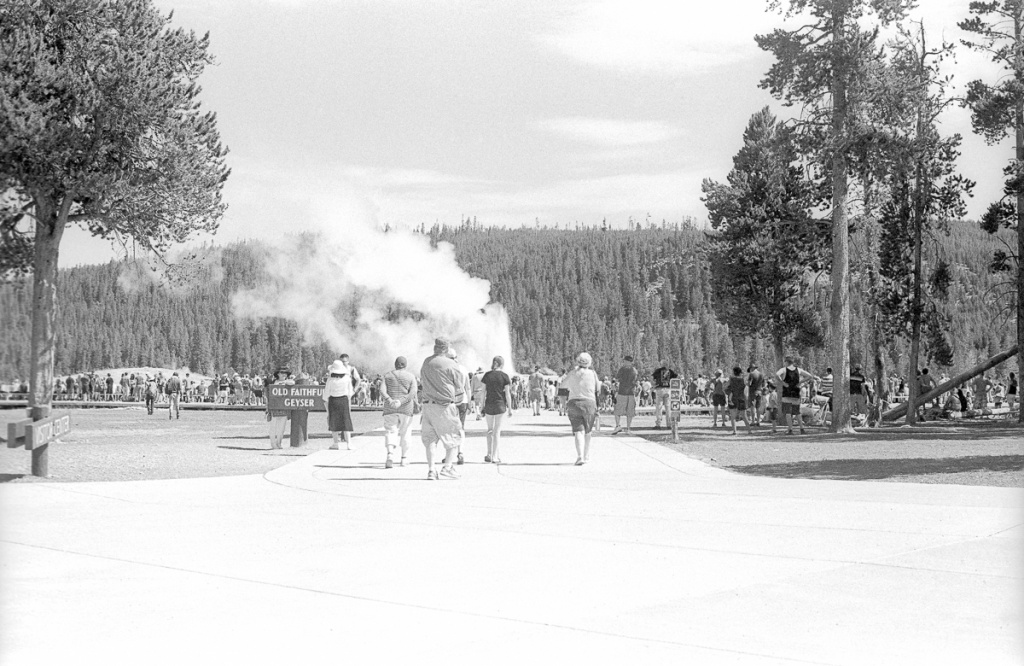 old faithful geyser in yellowstone national park
