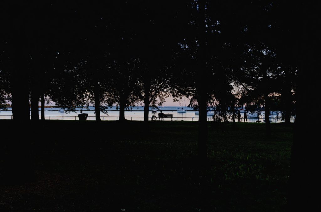 A sunset landscape of Toronto's Trillium Park.