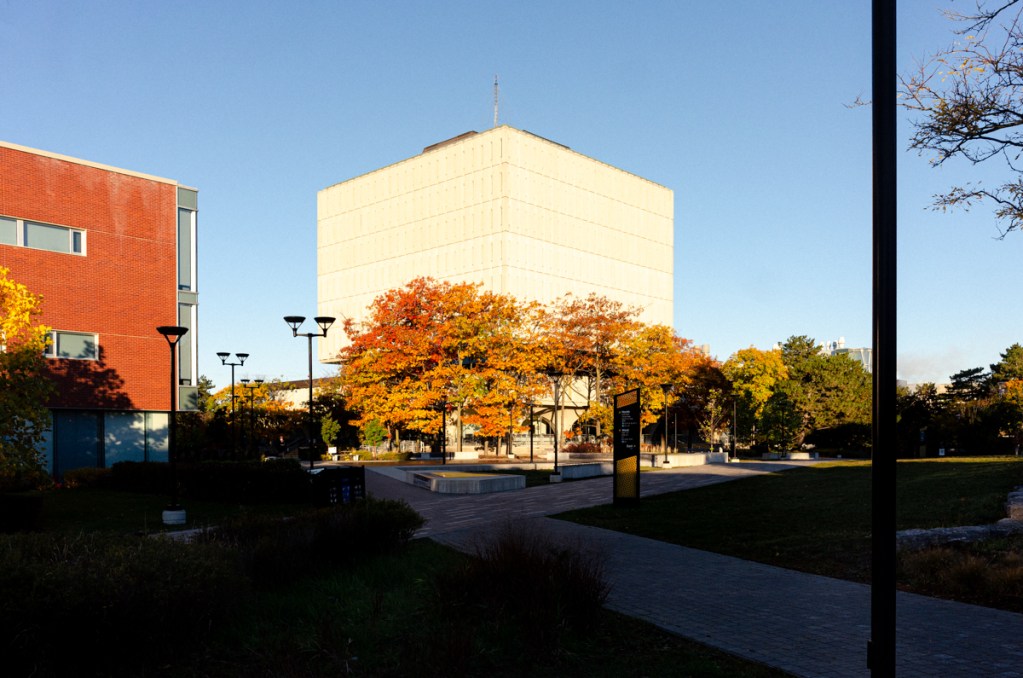 A landscape image of color trees and the Dana Porter Library.