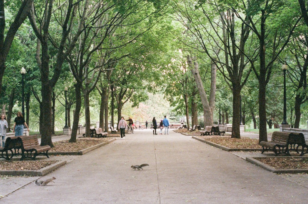An image of a pathyway in Parc La Fontaine in Montreal.