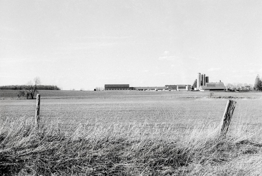 A monochrome landscape of a farm in Ontario