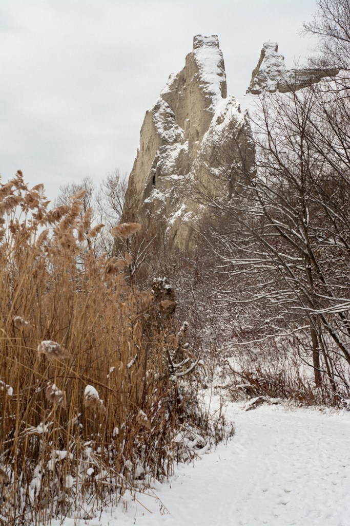 A snowy image of the Scarborough Bluffs.