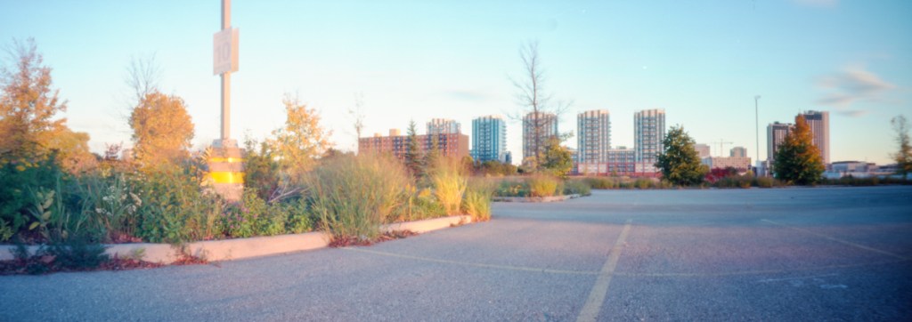 A landscape images of fall leaves in Ontario.