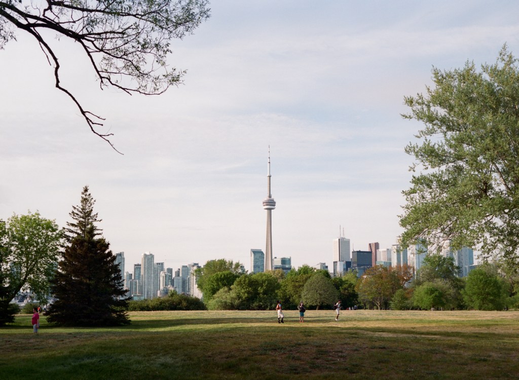A landscape view of the CN Tower from Toronto Island.