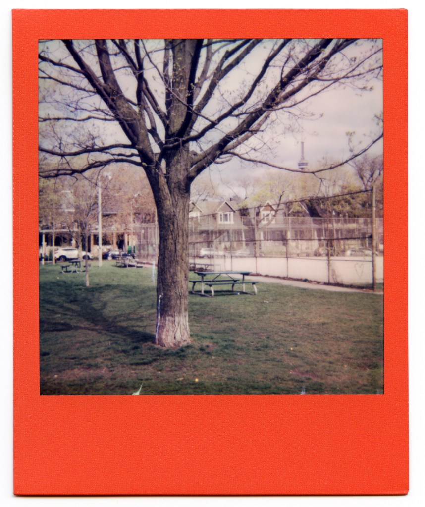 A Polaroid photo of Trinity Bellwoods Park.