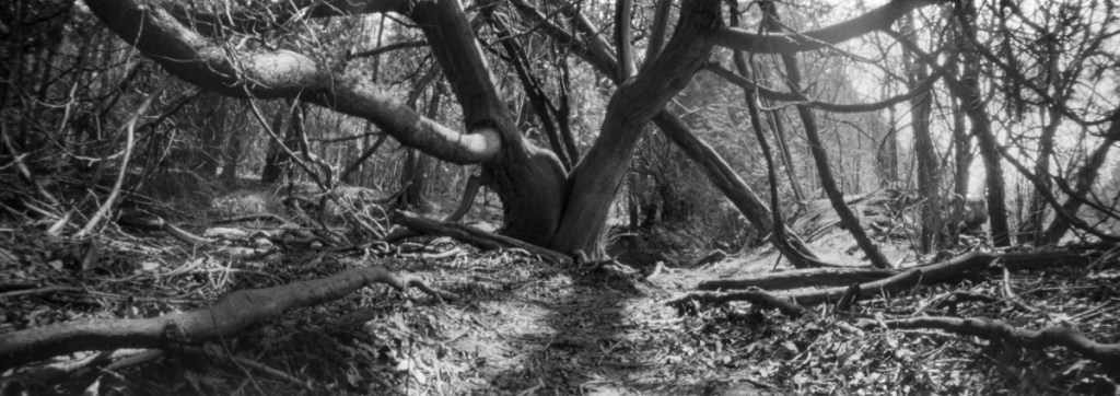 A black and white long exposure landscape.