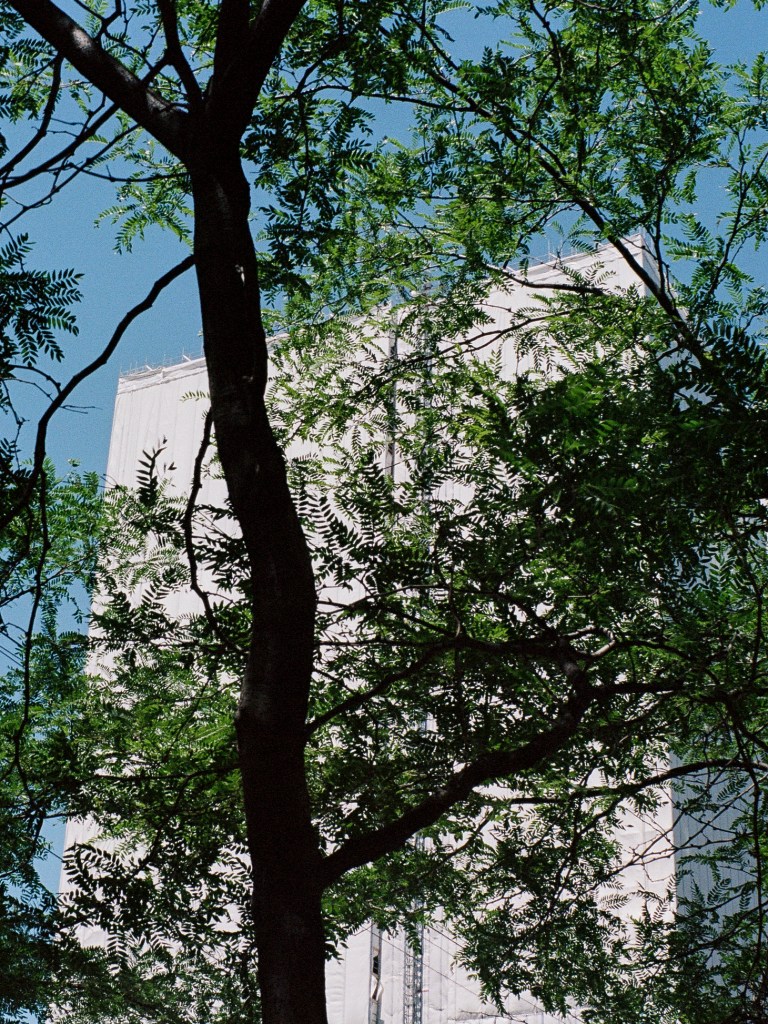 An abstract image of Toronto Ontario Canada.
