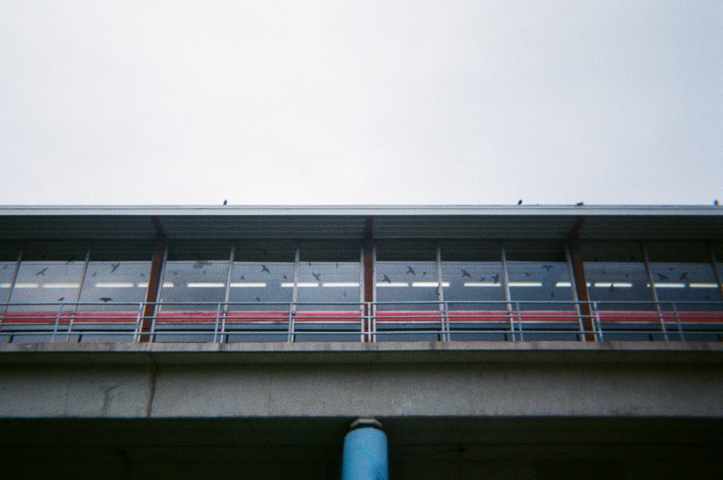 Subway stations of the TTC, shot with an Ilfocolor single use camera.