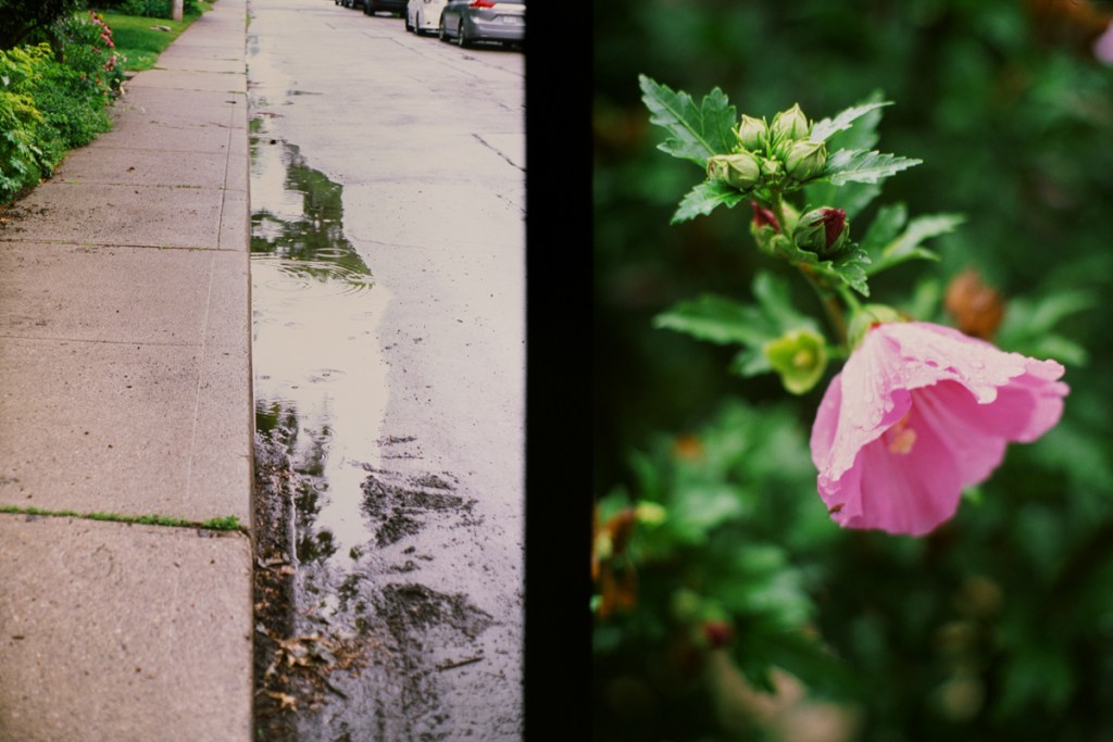 Images from Toronto's Étienne Brûlé Park.