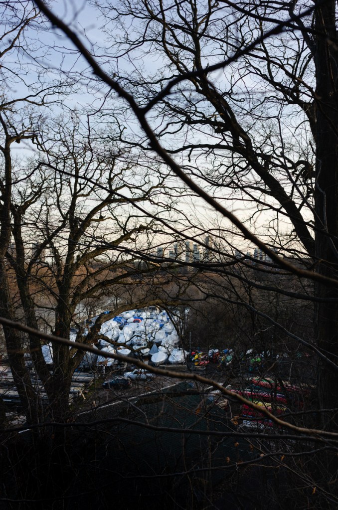 An image of bare trees along the Humber River.