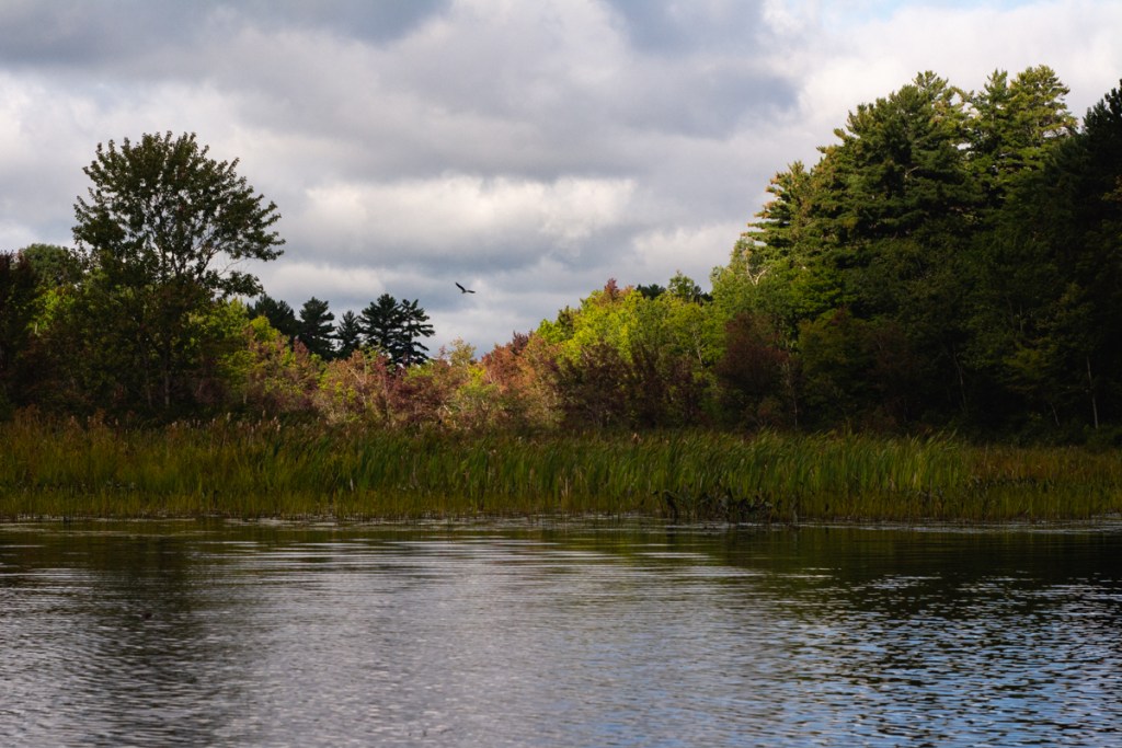 landscape image on a river