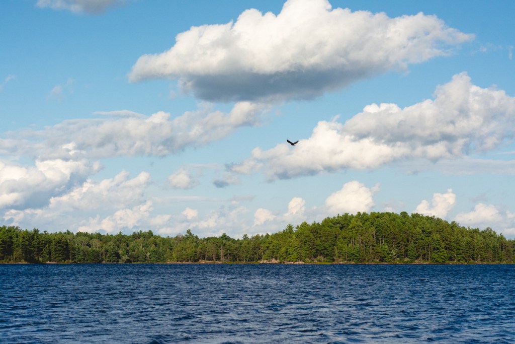 landscape image on a lake in ontario