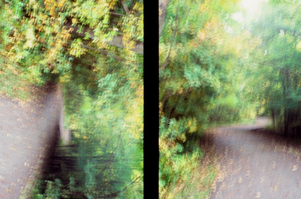 Abstract landscape diptych.