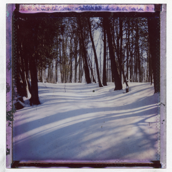 A square landscape image of a snowy landscape