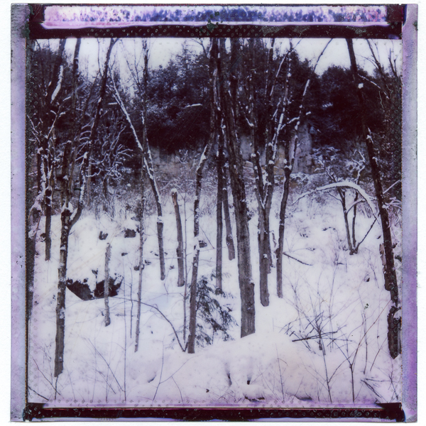 A square landscape image of a snowy landscape