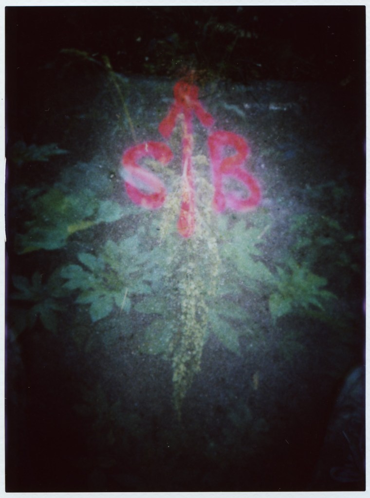 double exposure of graffiti and plants