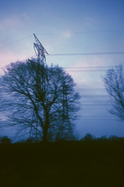 an image of trees taken from a moving car