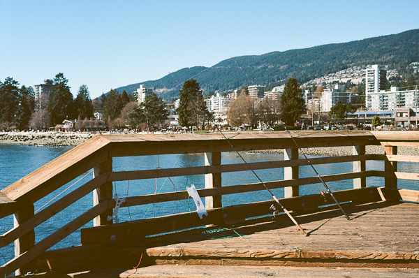 a landscape photo of fishing poles