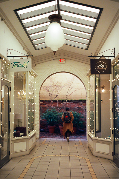 a market in downtown victoria