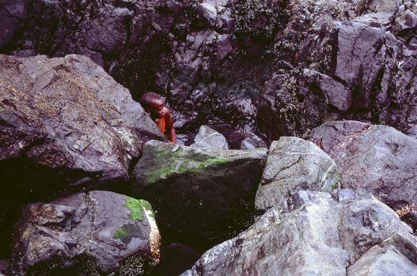 An image of rocks at hot springs cove near Torino bc