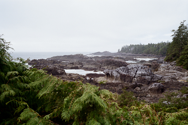 Landscape image of the pacific coast