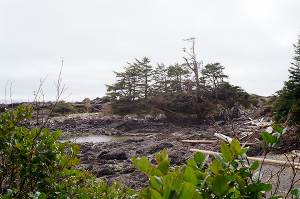 Landscape image of the pacific coast