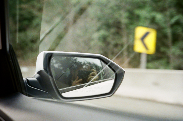 a snapshot taken out of a car windo